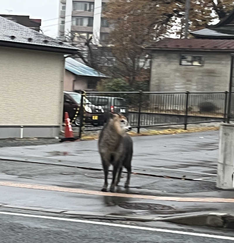ユウコ・デラックスさんの喜盛の湯のサ活写真