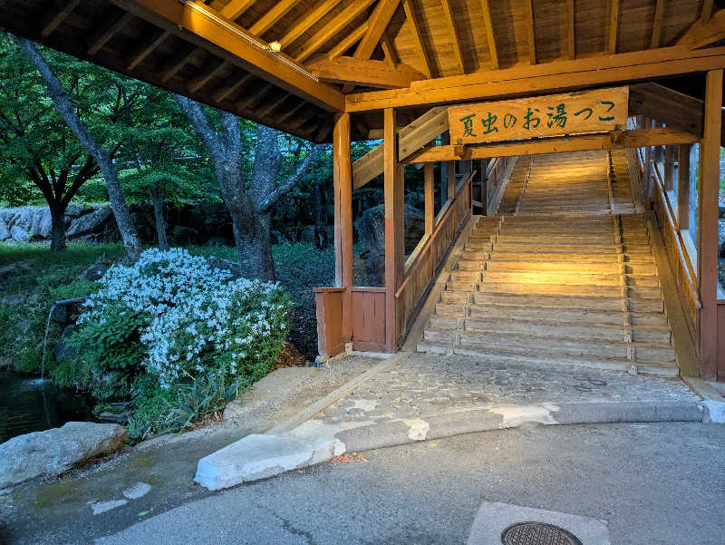 ちゃん丁目の下新屋物語さんの夏虫のお湯っこのサ活写真