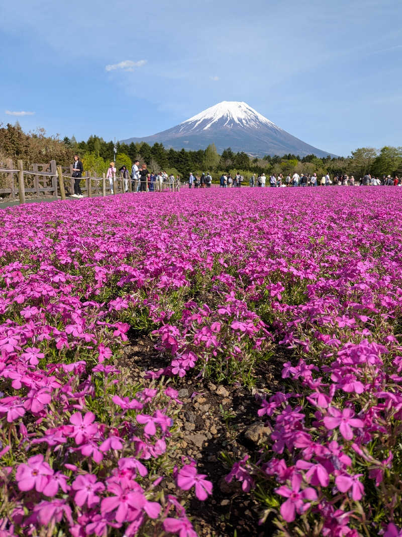 けろすさんの駿河健康ランドのサ活写真