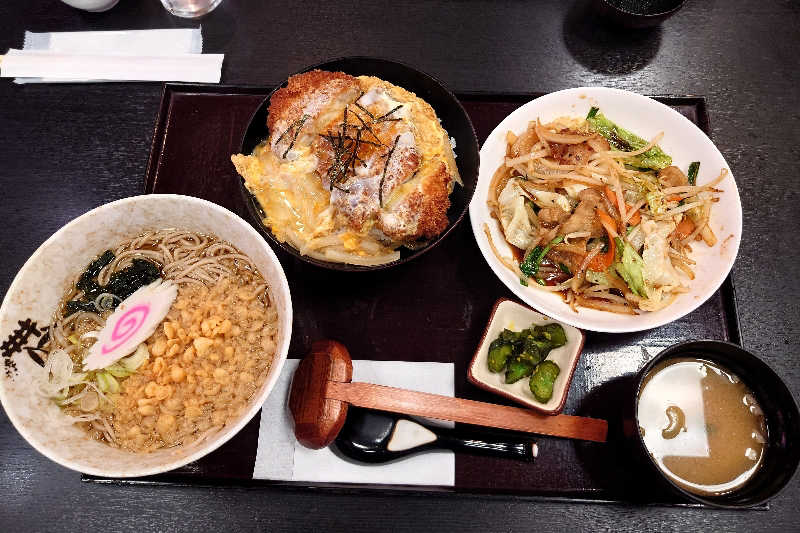 haya_neko3(はやねこ)さんのスパ&カプセル ニューウイングのサ活写真