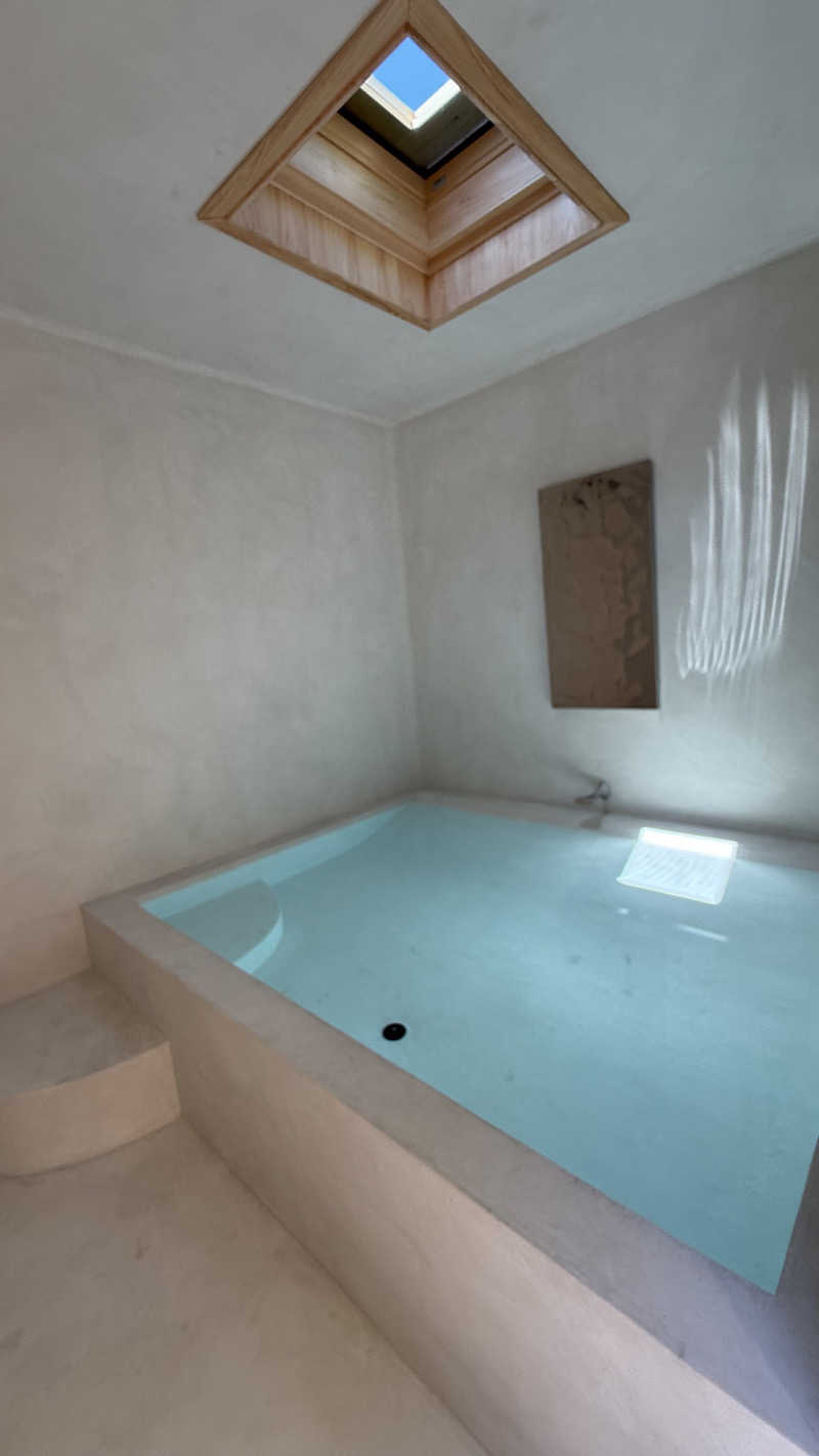 水風呂王子さんのan saunaのサ活写真