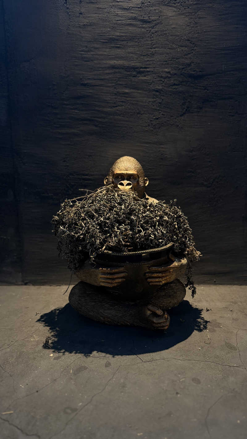 水風呂王子さんのan saunaのサ活写真