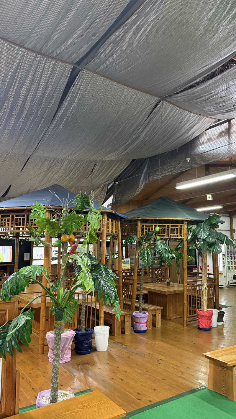 水風呂王子さんの大川温泉 貴肌美人 緑の湯のサ活写真