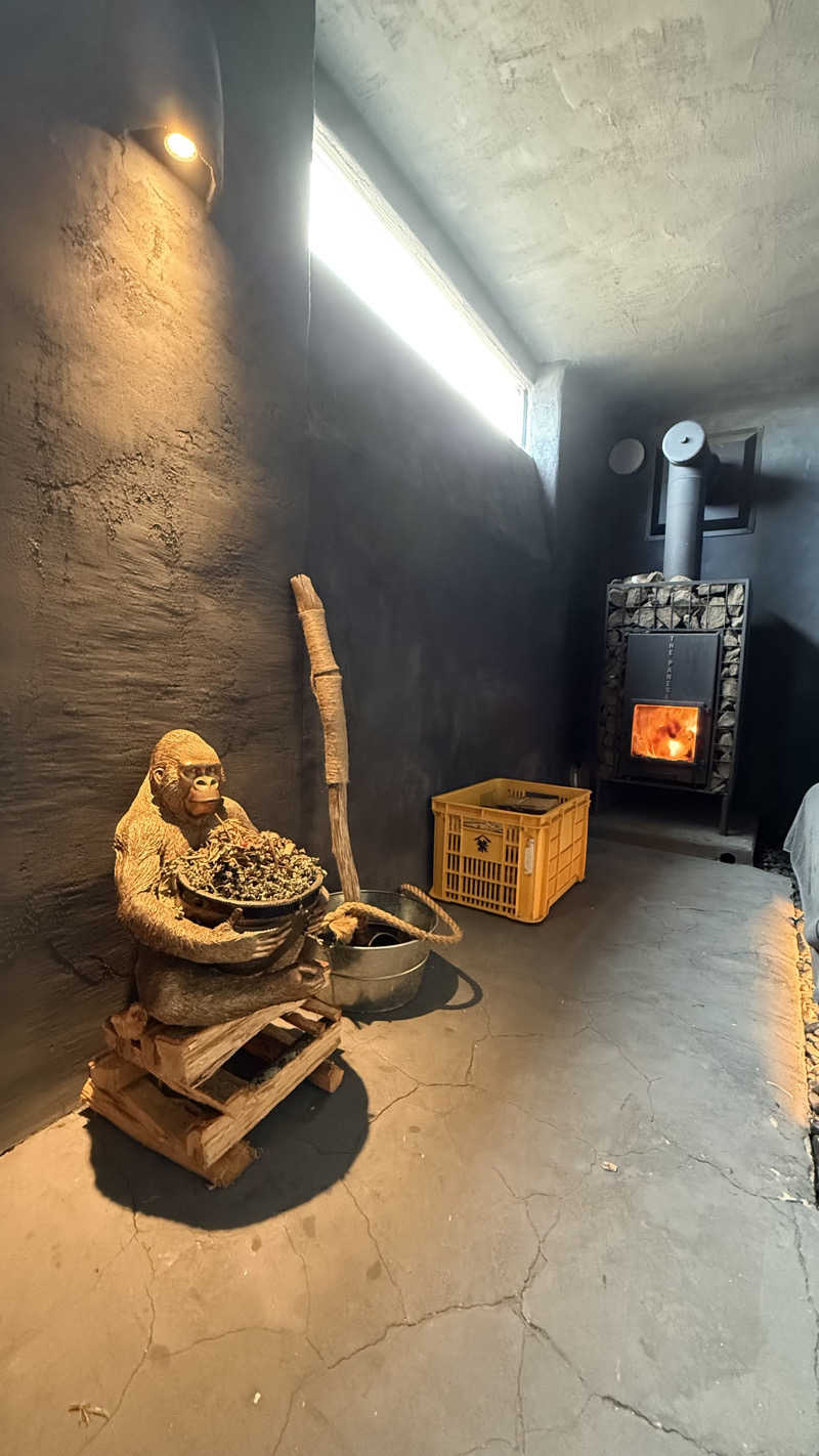 水風呂王子さんのan saunaのサ活写真