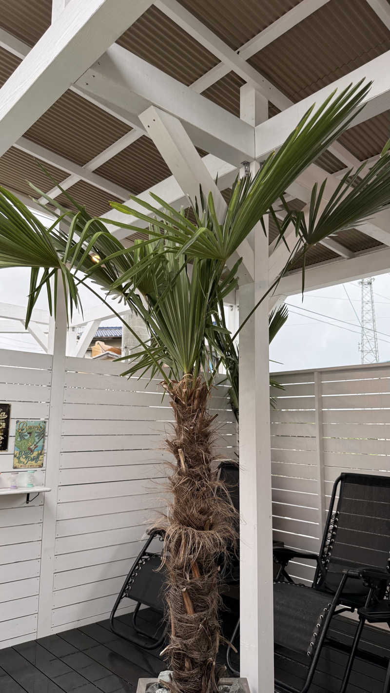 水風呂王子さんの糸島キッチンパレット/KIPNA(キピナ)のサ活写真