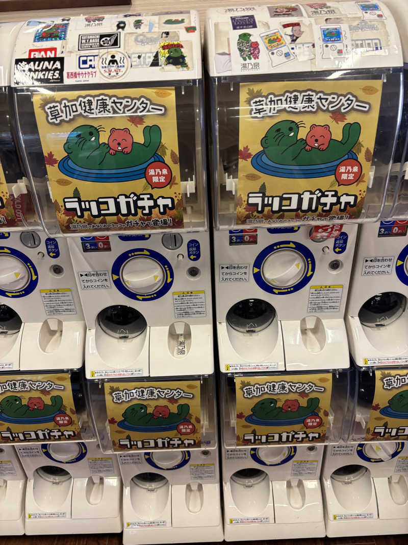 コン太さんの湯乃泉 草加健康センターのサ活写真