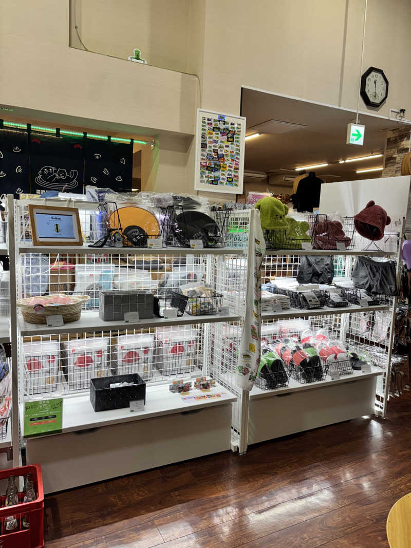 コン太さんの湯乃泉 草加健康センターのサ活写真