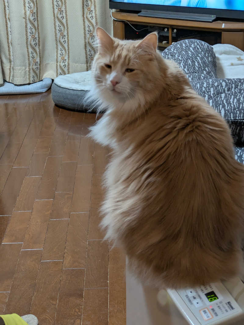 うのさんの天然温泉 花鳥風月のサ活写真