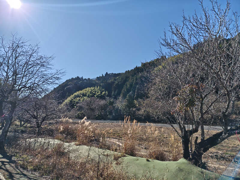 自由な旅人さんの瀬戸谷温泉ゆらくのサ活写真