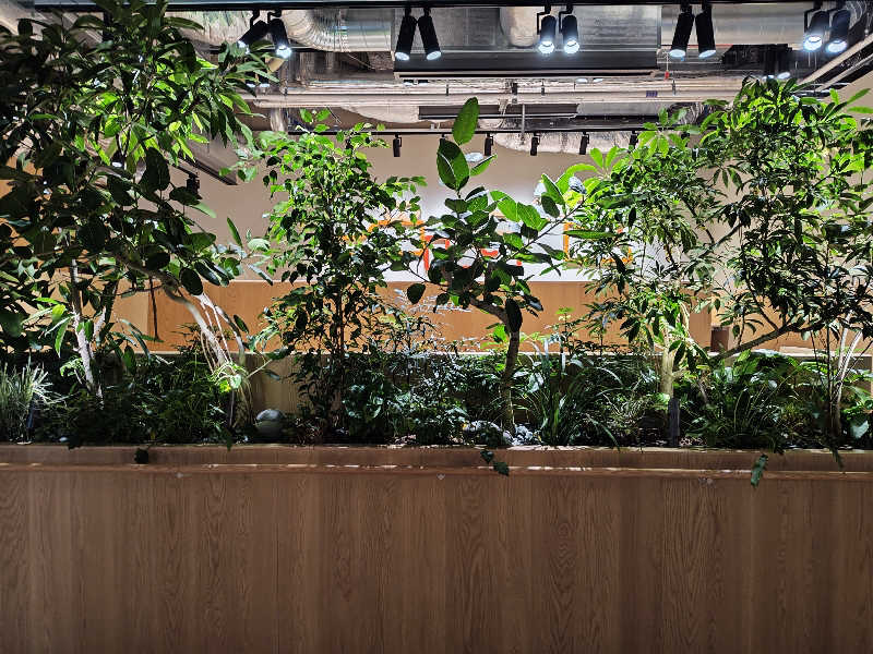 自由な旅人さんの高輪SAUNASのサ活写真