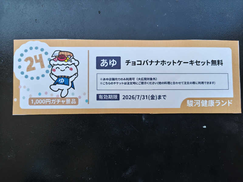 自由な旅人さんの駿河健康ランドのサ活写真