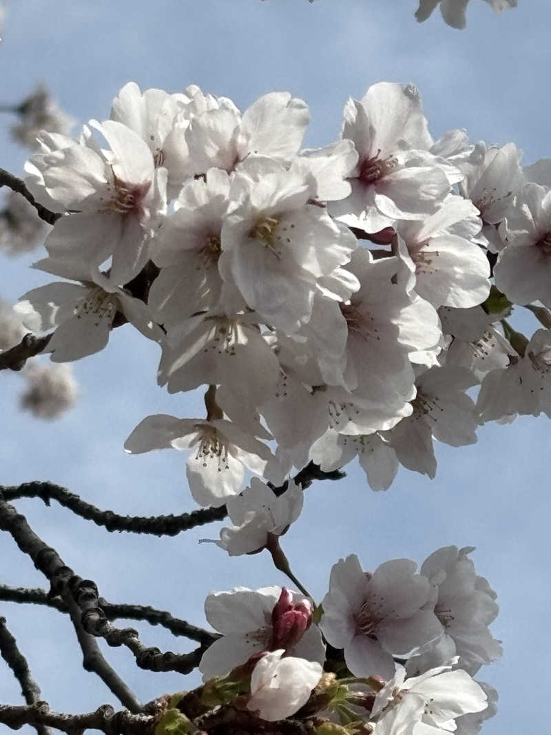 サ活の旅々さんの守山天然温泉 ほたるの湯のサ活写真