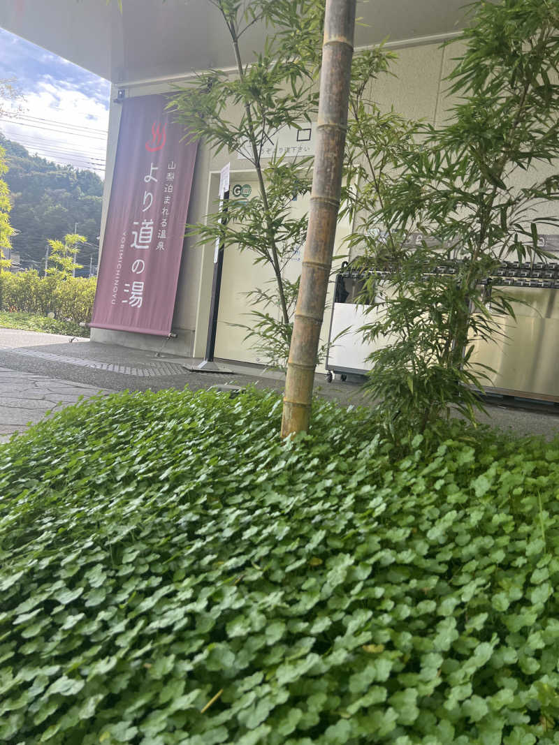 つるみんさんの山梨泊まれる温泉 より道の湯のサ活写真