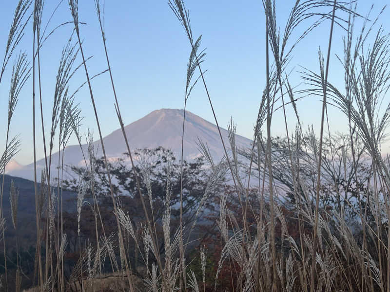 つるみんさんの山梨泊まれる温泉 より道の湯のサ活写真