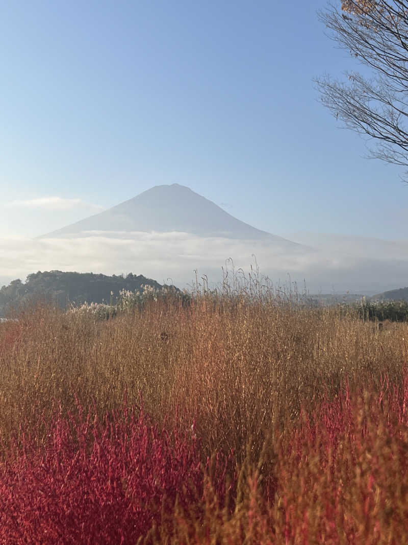 つるみんさんの山梨泊まれる温泉 より道の湯のサ活写真