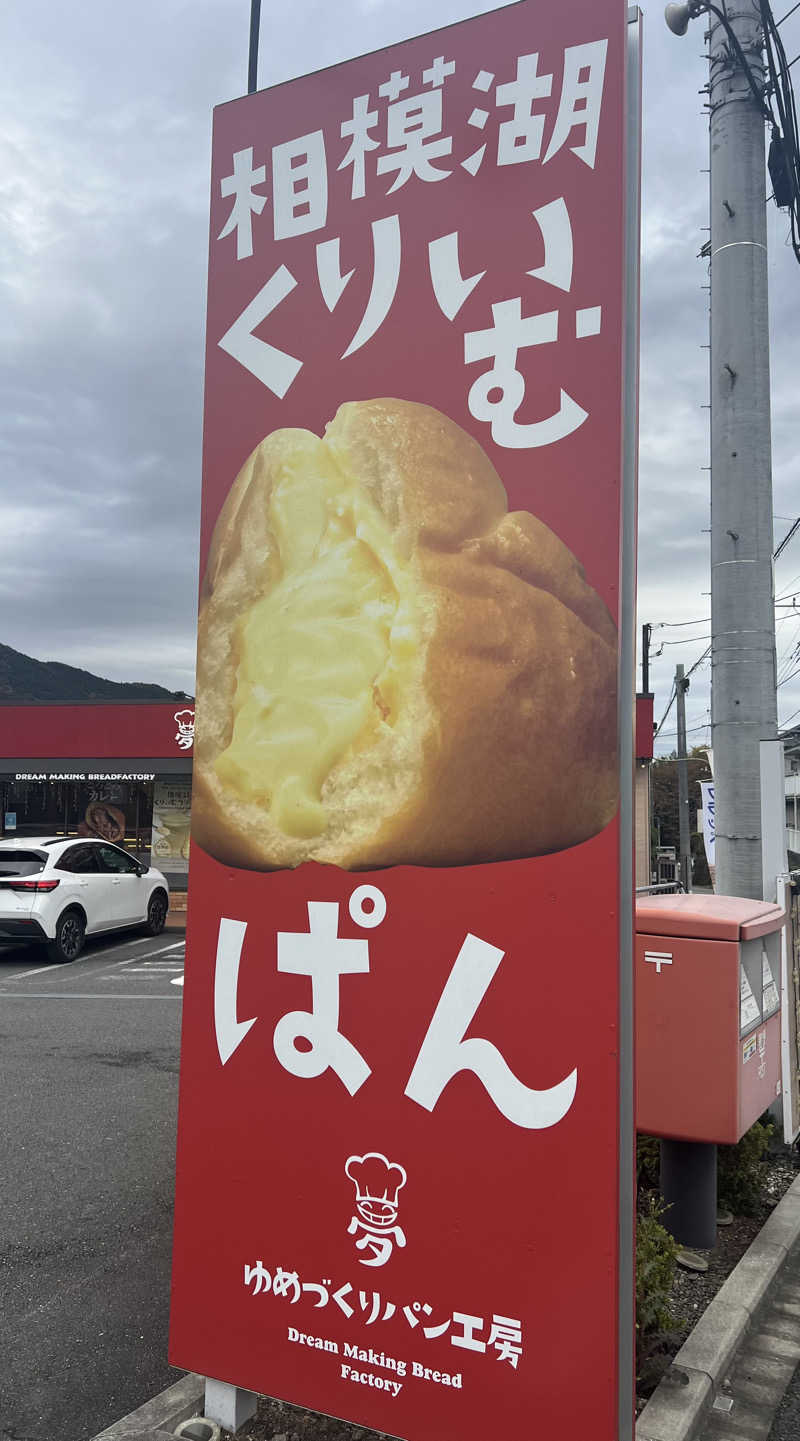 つるみんさんのさがみ湖温泉 うるりのサ活写真