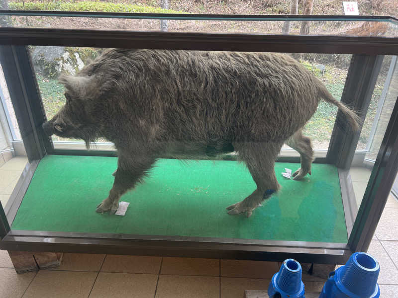 つるみんさんの秋山温泉のサ活写真