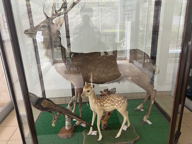 つるみんさんの秋山温泉のサ活写真