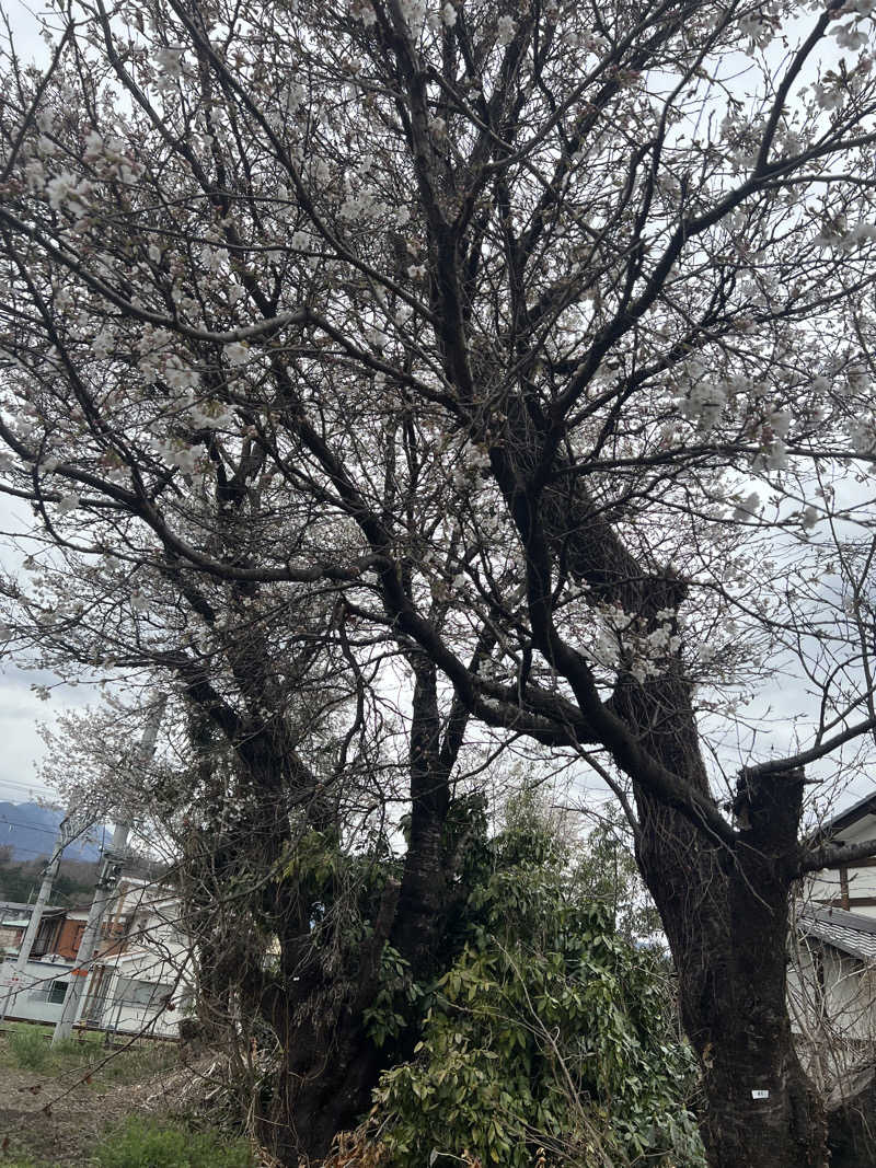つるみんさんの山梨泊まれる温泉 より道の湯のサ活写真