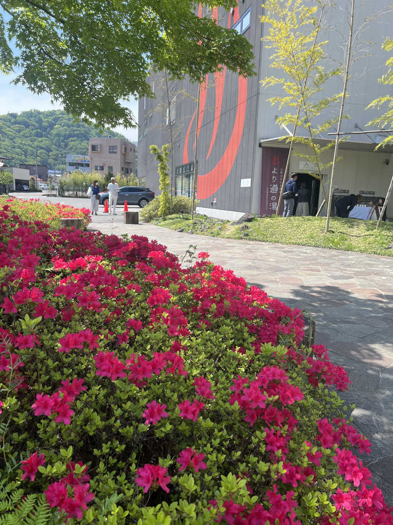 つるみんさんの山梨泊まれる温泉 より道の湯のサ活写真