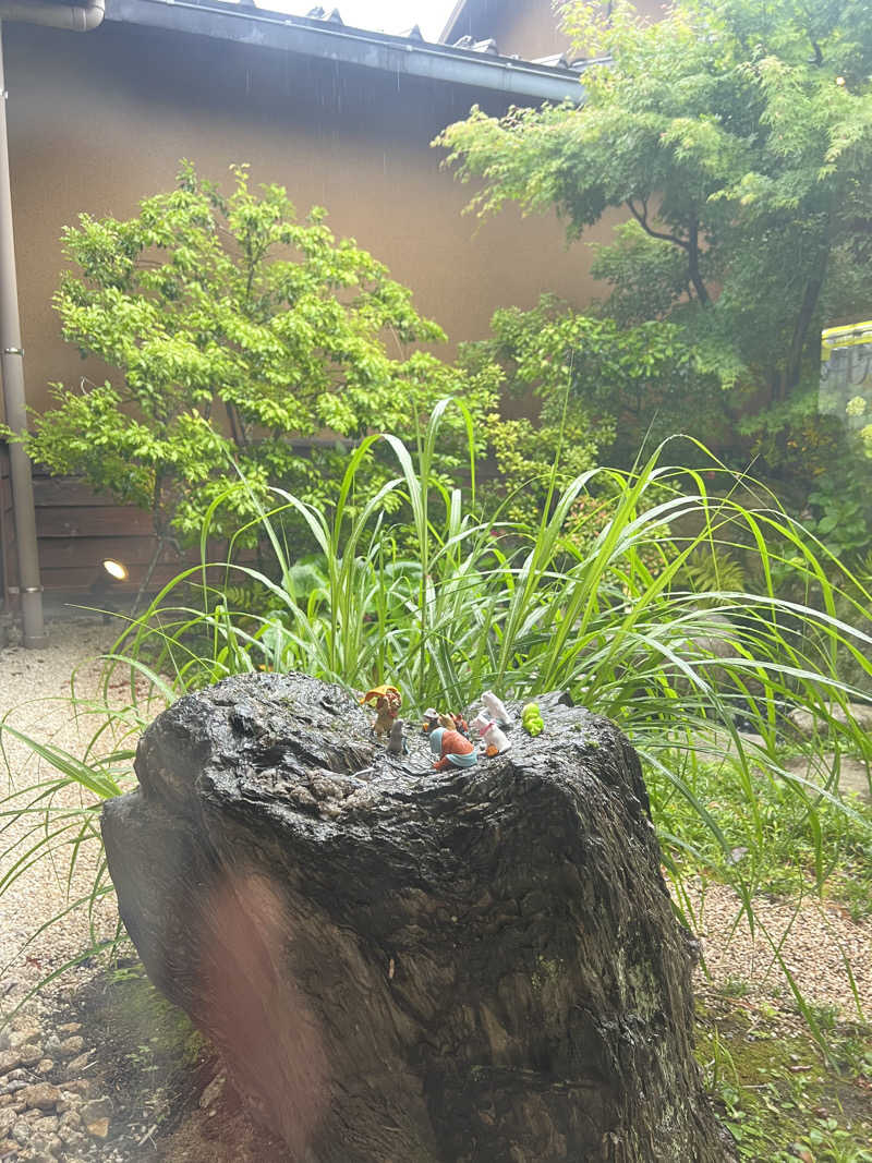 つるみんさんのさがみ湖温泉 うるりのサ活写真