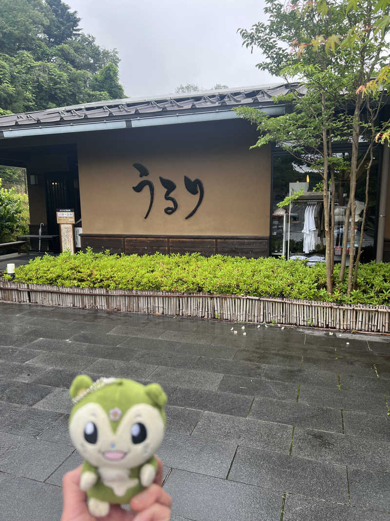 つるみんさんのさがみ湖温泉 うるりのサ活写真
