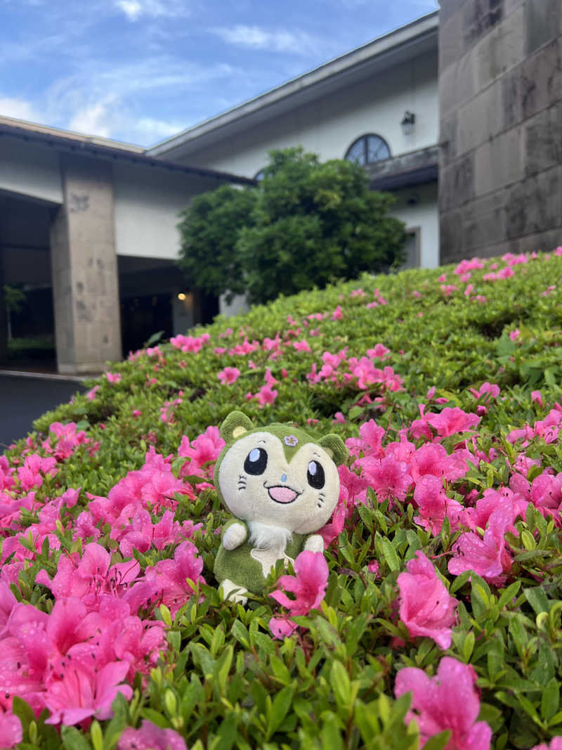 つるみんさんの箱根仙石原プリンスホテルのサ活写真