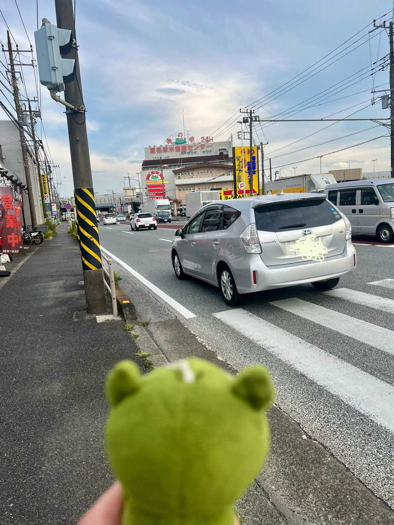 つるみんさんの湯乃泉 東名厚木健康センターのサ活写真