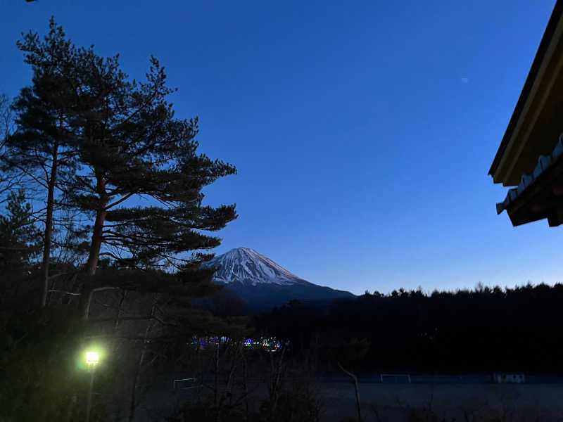 蒸しパンさんの富士眺望の湯 ゆらりのサ活写真