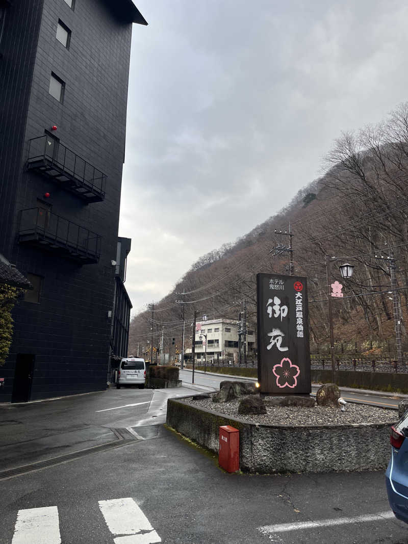 蒸しパンさんの大江戸温泉物語 ホテル鬼怒川御苑のサ活写真