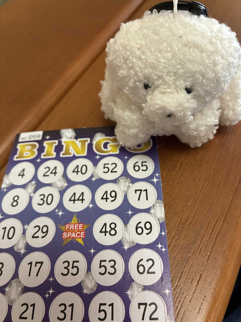 しゃーくさんの島ヶ原温泉やぶっちゃのサ活写真