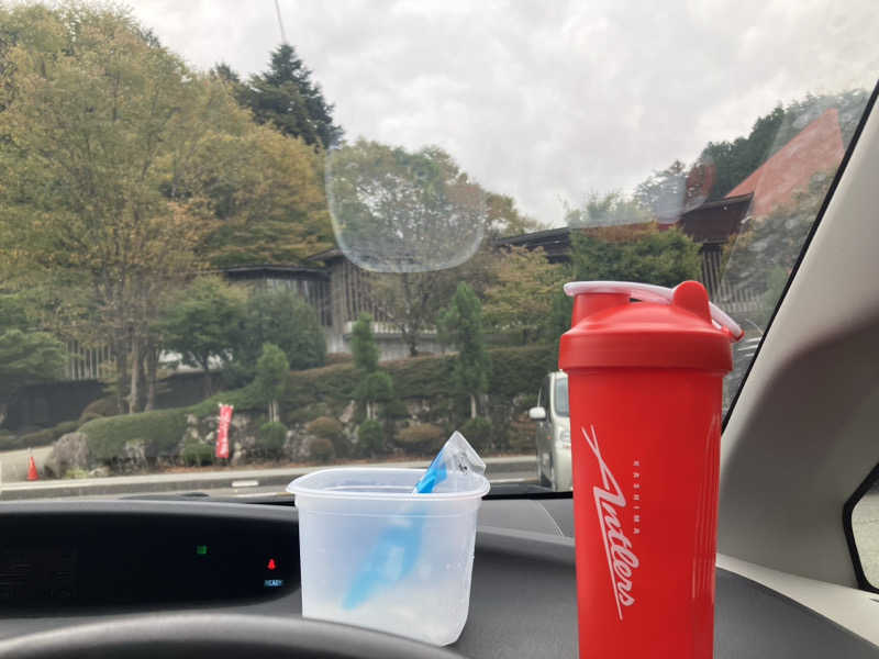 さうなーまんさんの飛騨川温泉しみずの湯のサ活写真