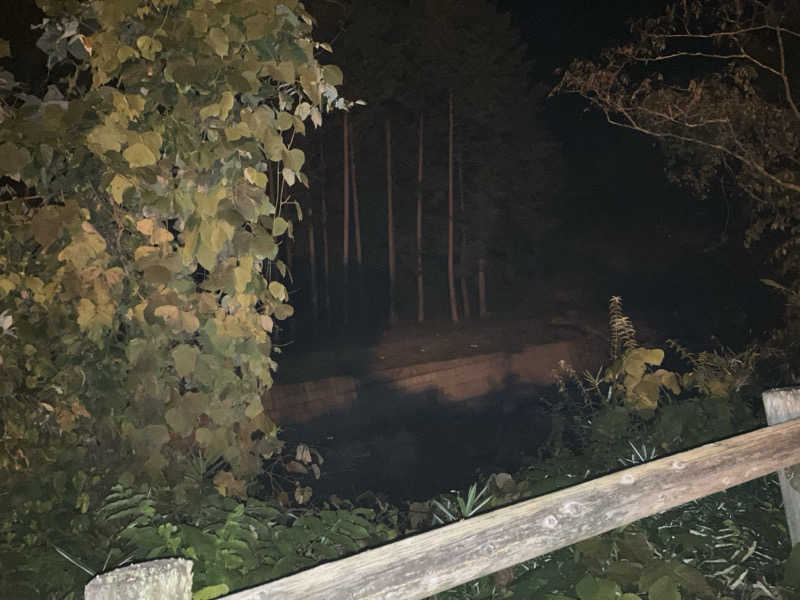 さうなーまんさんの飛騨川温泉しみずの湯のサ活写真