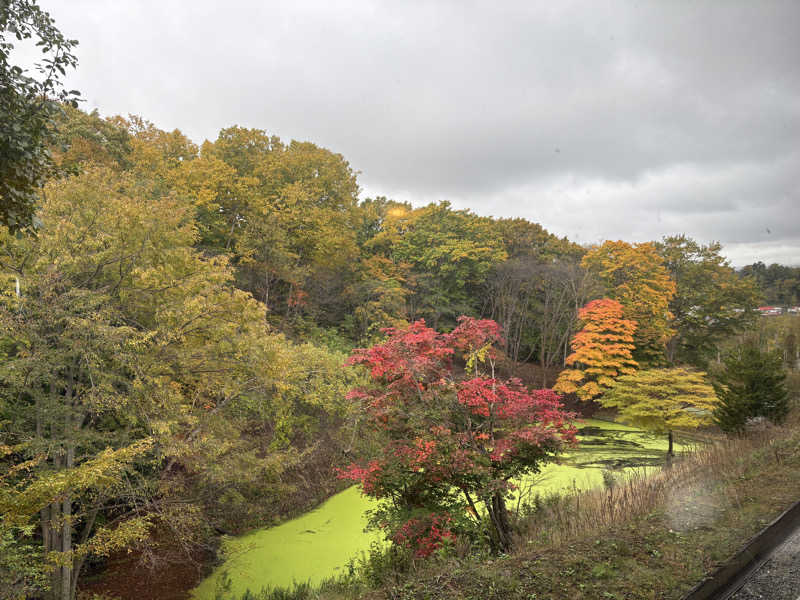 Tomteさんの里の森 森のゆのサ活写真