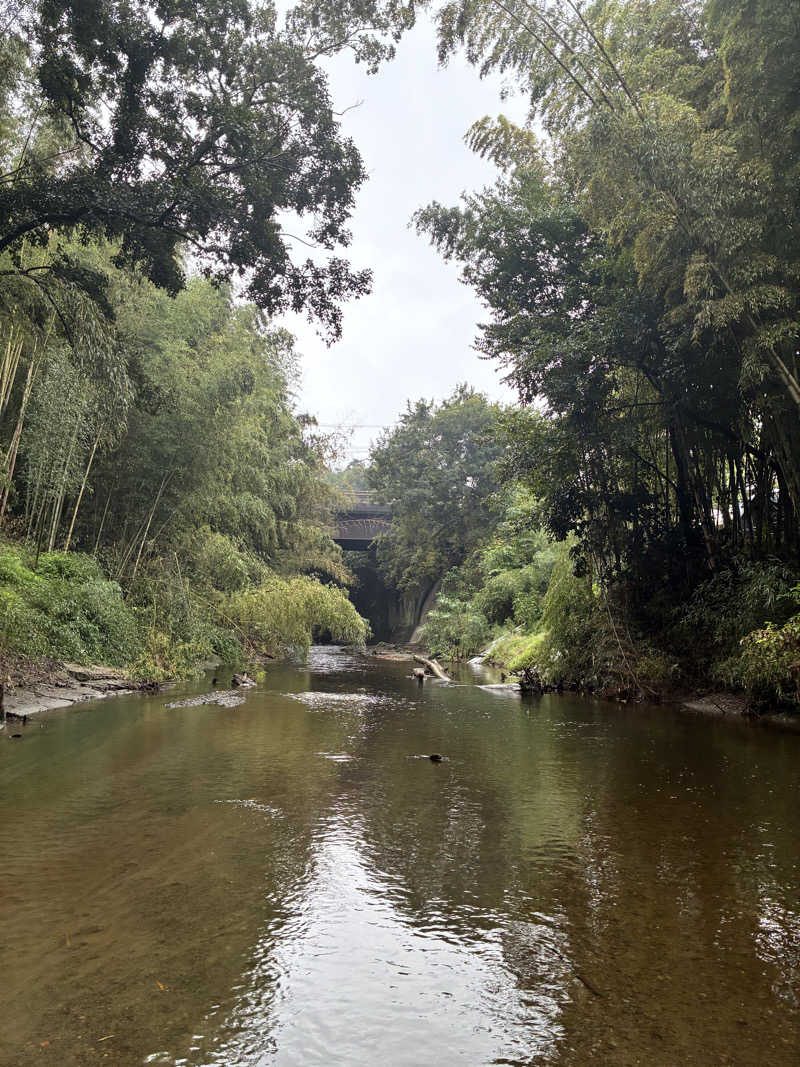 amy🧖‍♀️さんのPGFLANDのサ活写真