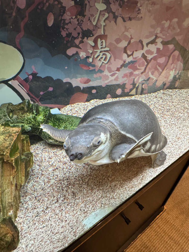 昭和レトロさんの松本湯のサ活写真