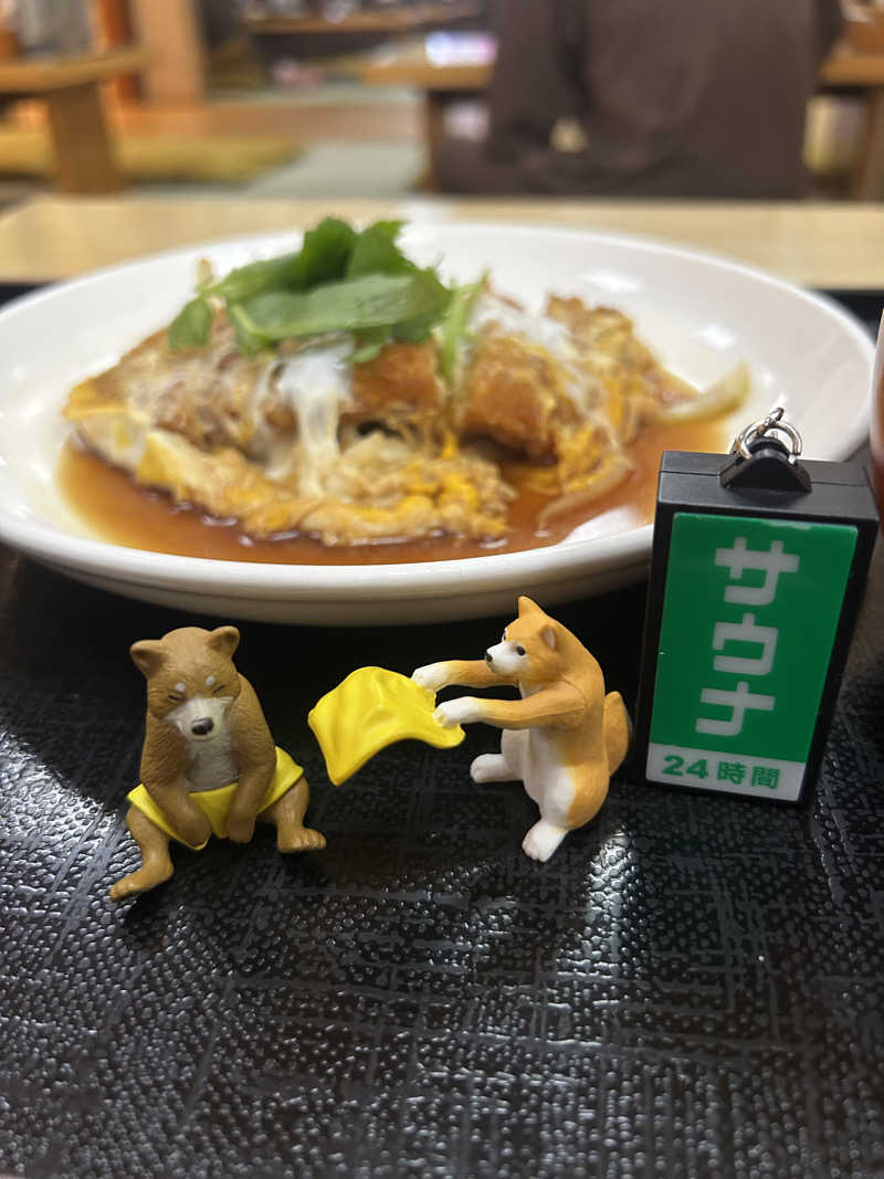 うるぐすさんの船橋グランドサウナ&カプセルホテルのサ活写真