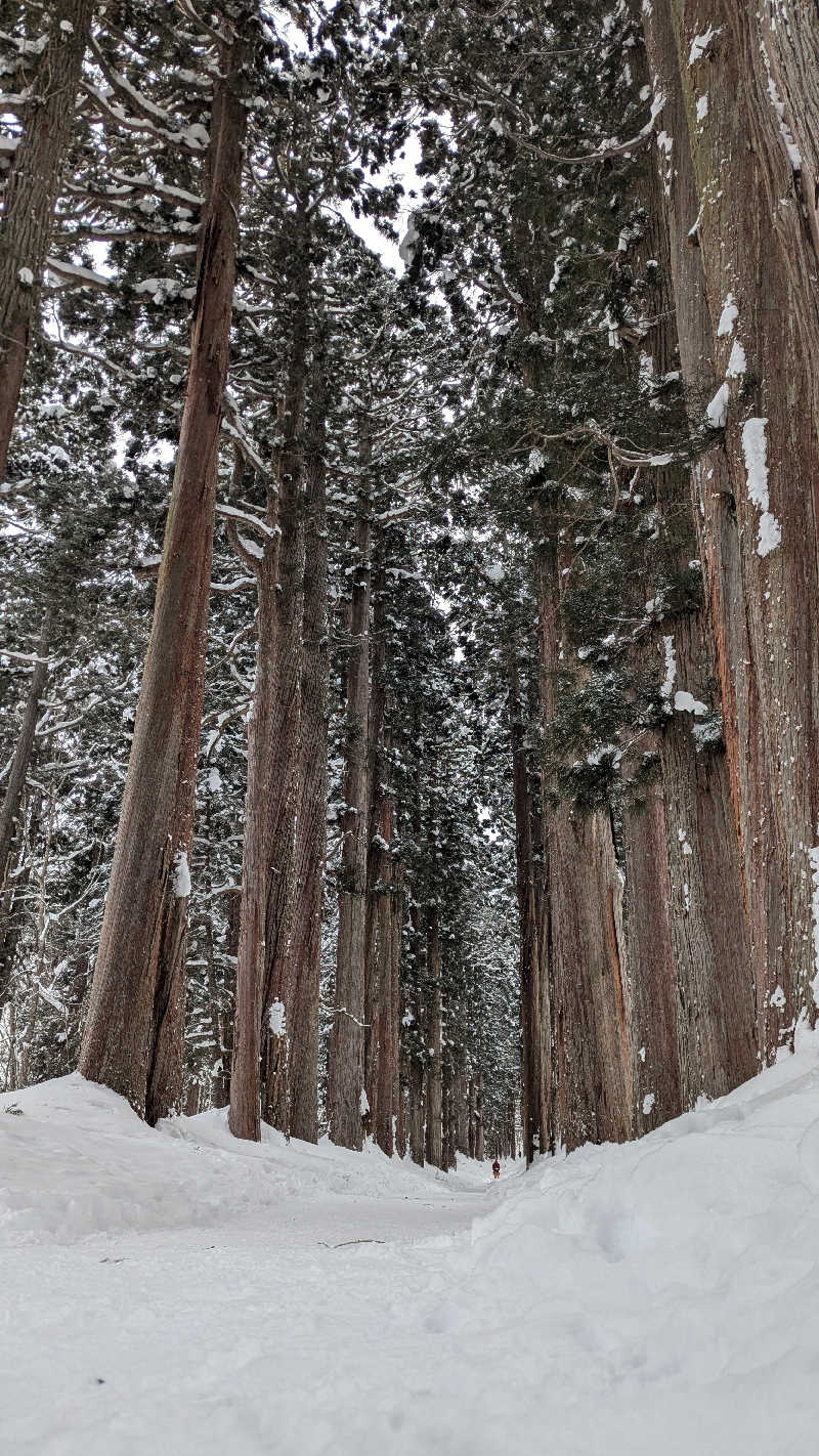 サウナに出会えた人生最高マンさんのThe Saunaのサ活写真