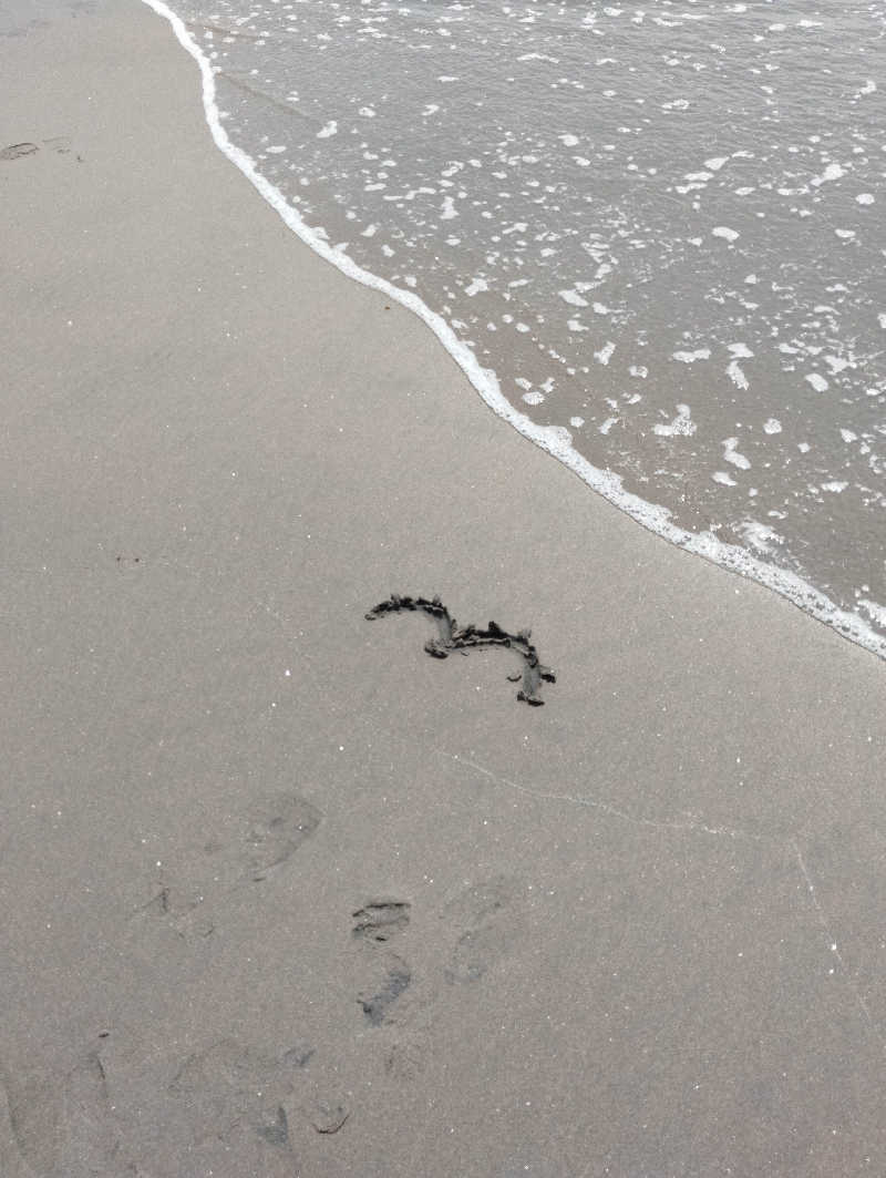 へむさんの谷地頭温泉のサ活写真