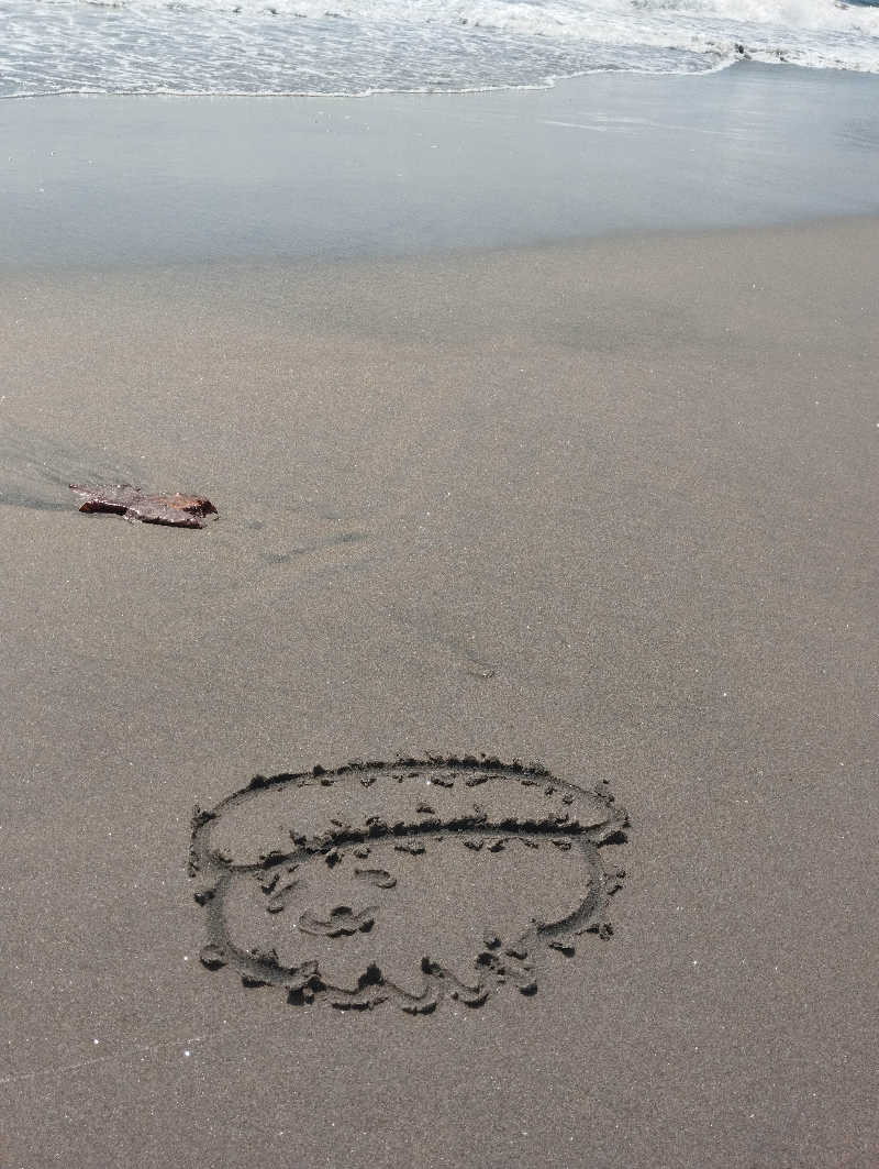 へむさんの谷地頭温泉のサ活写真