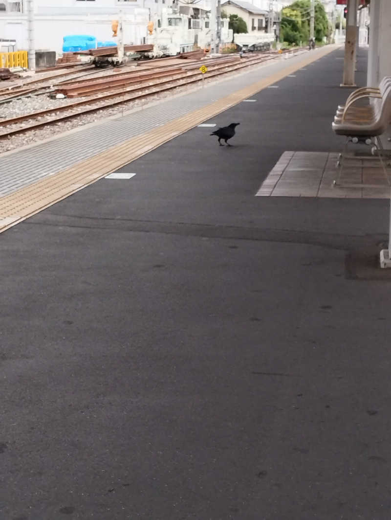 へむさんのサウナリウム高円寺のサ活写真