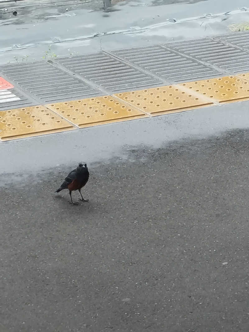 へむさんの天然温泉 湯舞音 袖ケ浦店のサ活写真