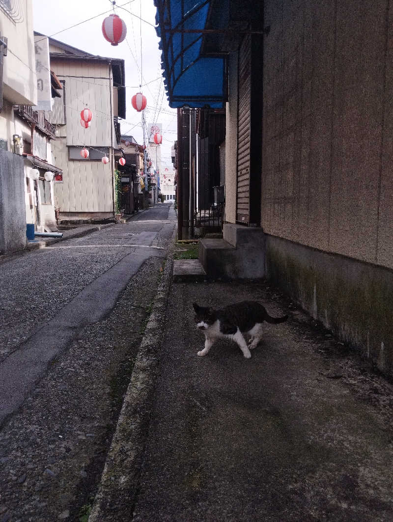 へむさんの山梨泊まれる温泉 より道の湯のサ活写真