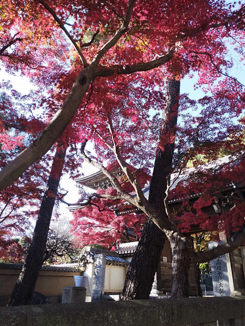 へむさんの中村浴場のサ活写真