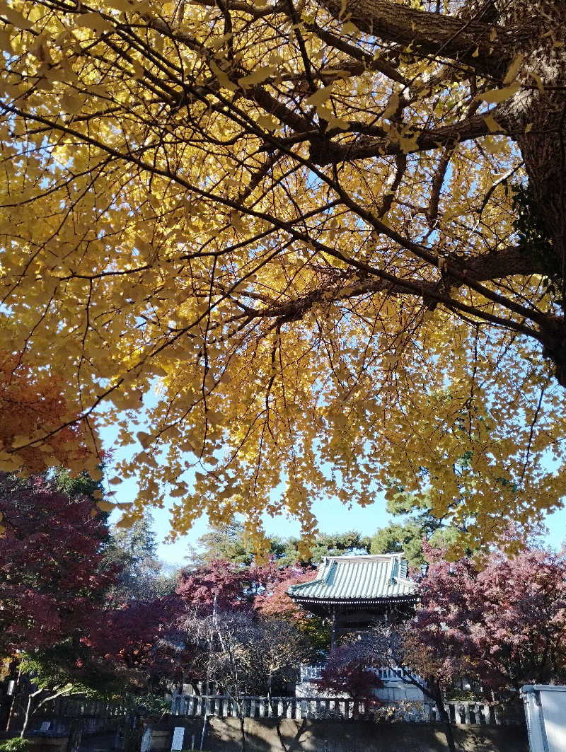 へむさんの中村浴場のサ活写真