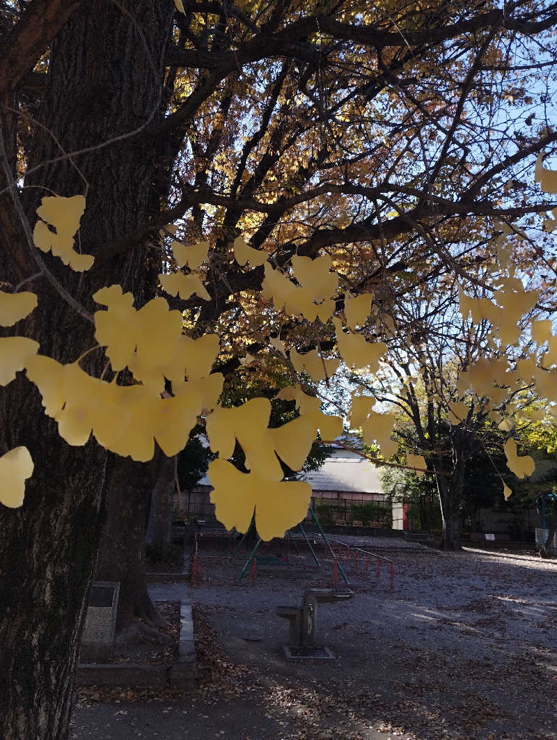 HEmingさんの印西温水センターのサ活写真