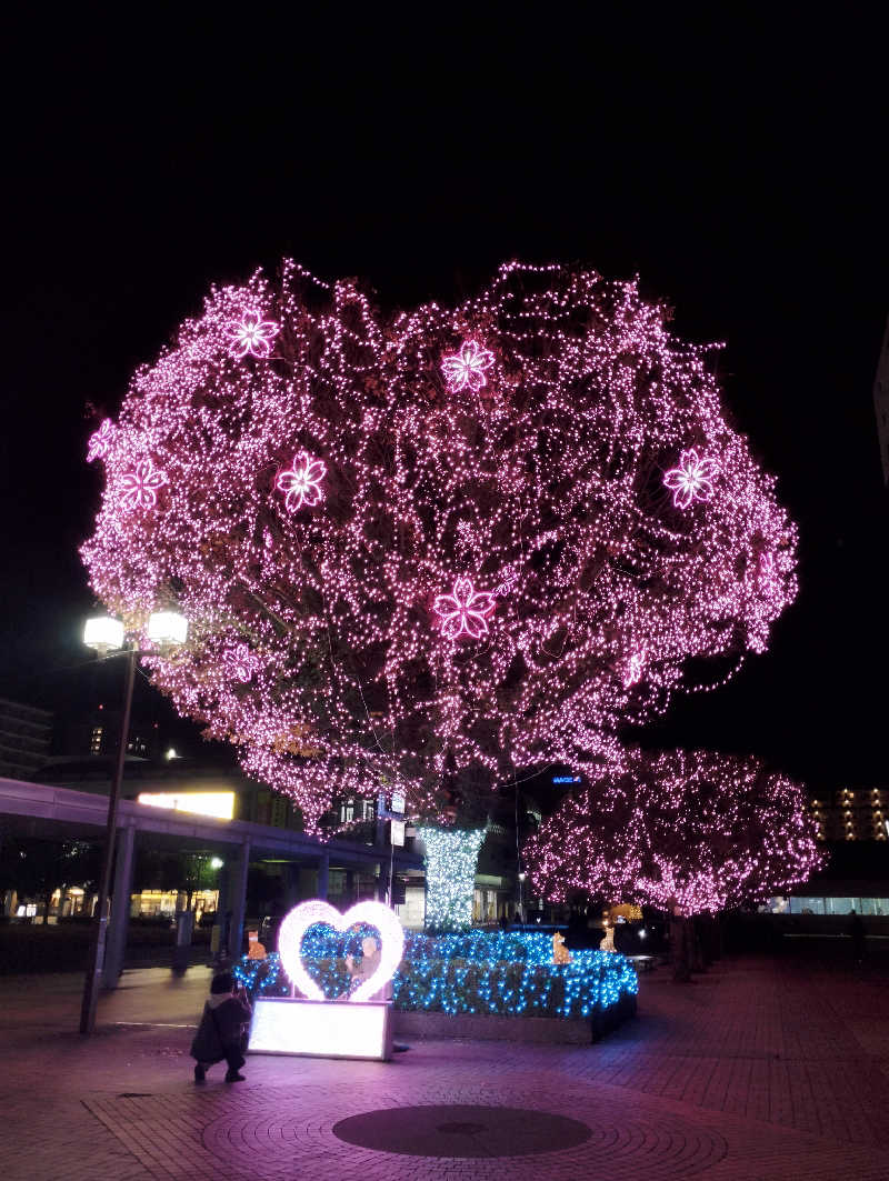 HEmingさんの印西温水センターのサ活写真