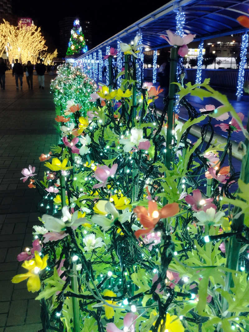 HEmingさんの印西温水センターのサ活写真