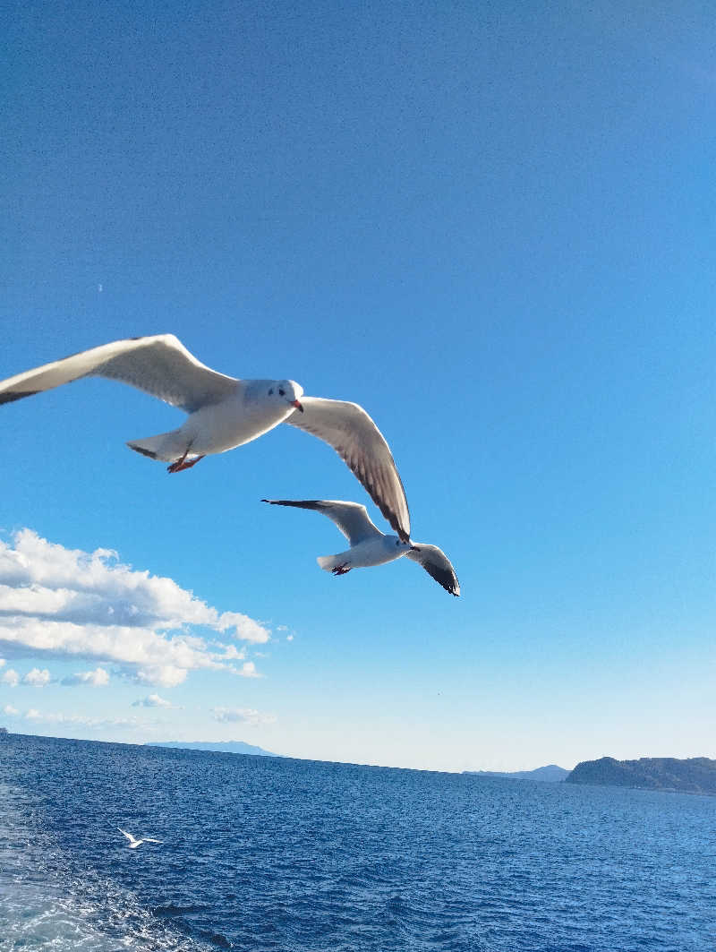 へむさんの伊東園ホテル熱海館のサ活写真