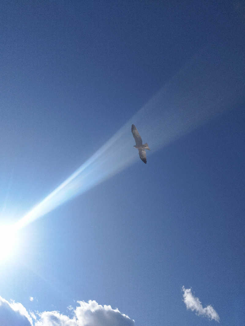 へむさんの伊東園ホテル熱海館のサ活写真